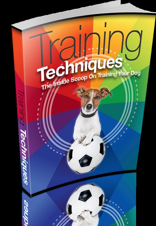 Product picture Dog training techniques