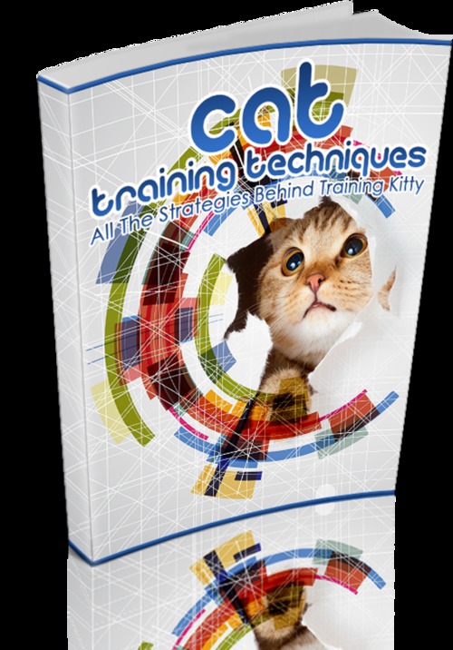 Product picture Cat Training Techniques